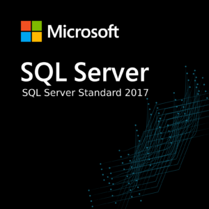 SQL Server Standard 2017, Database Management Software, Enterprise Database Solutions, Microsoft SQL Server Edition